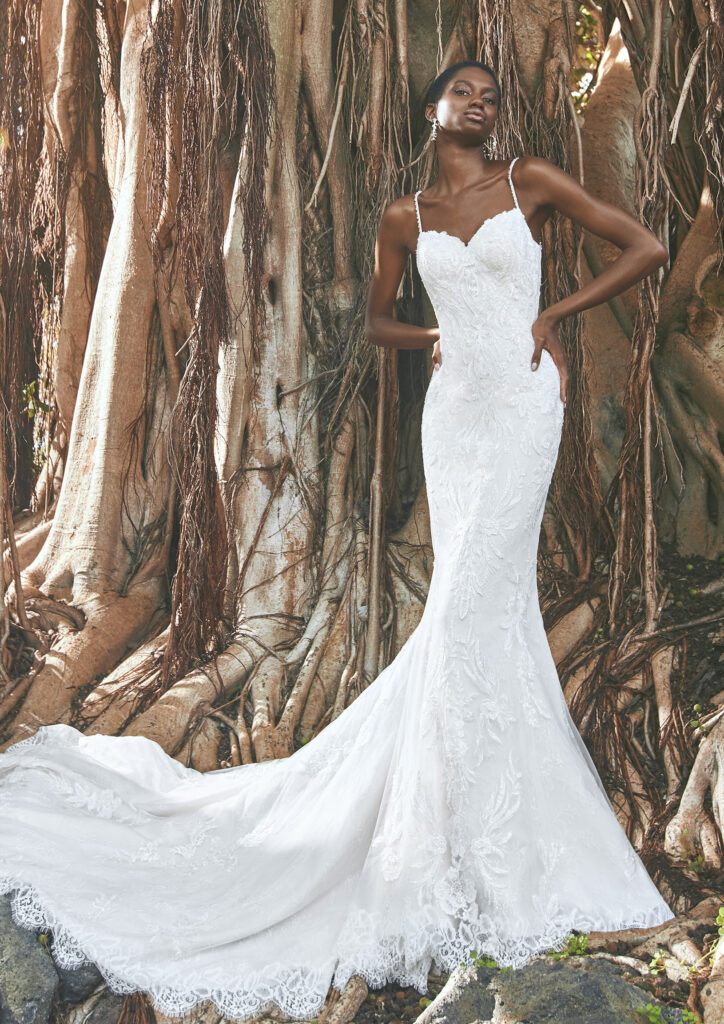Pronovias Fashion Group Finglas