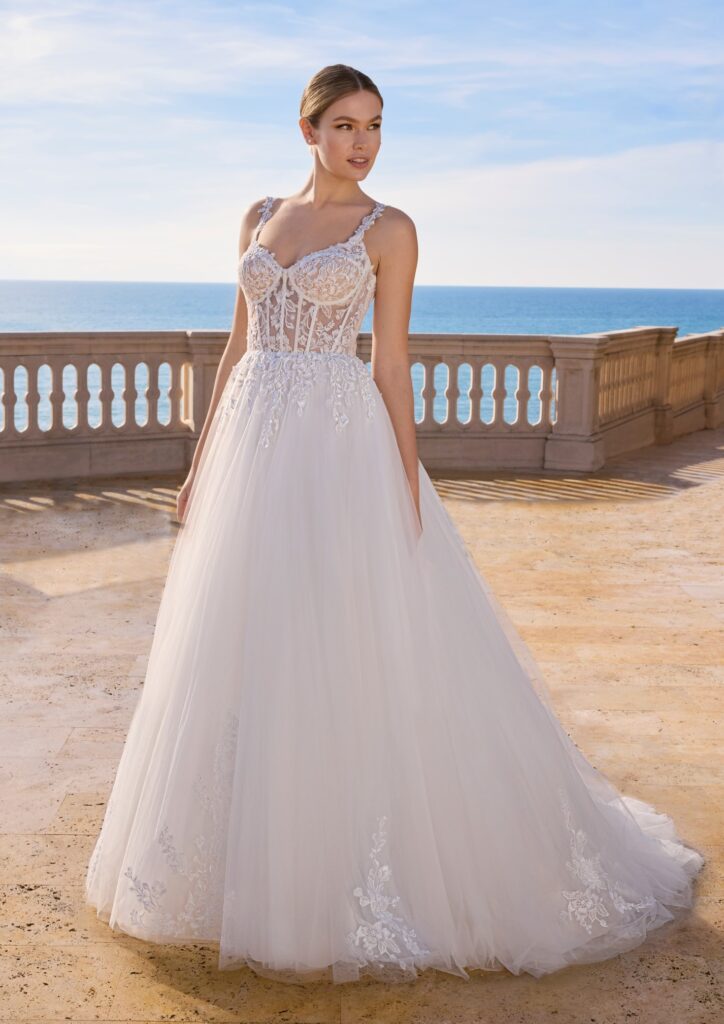 Ladybird Dahlias LB126BC1