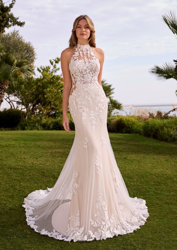 Ladybird Sedum LB126AF2