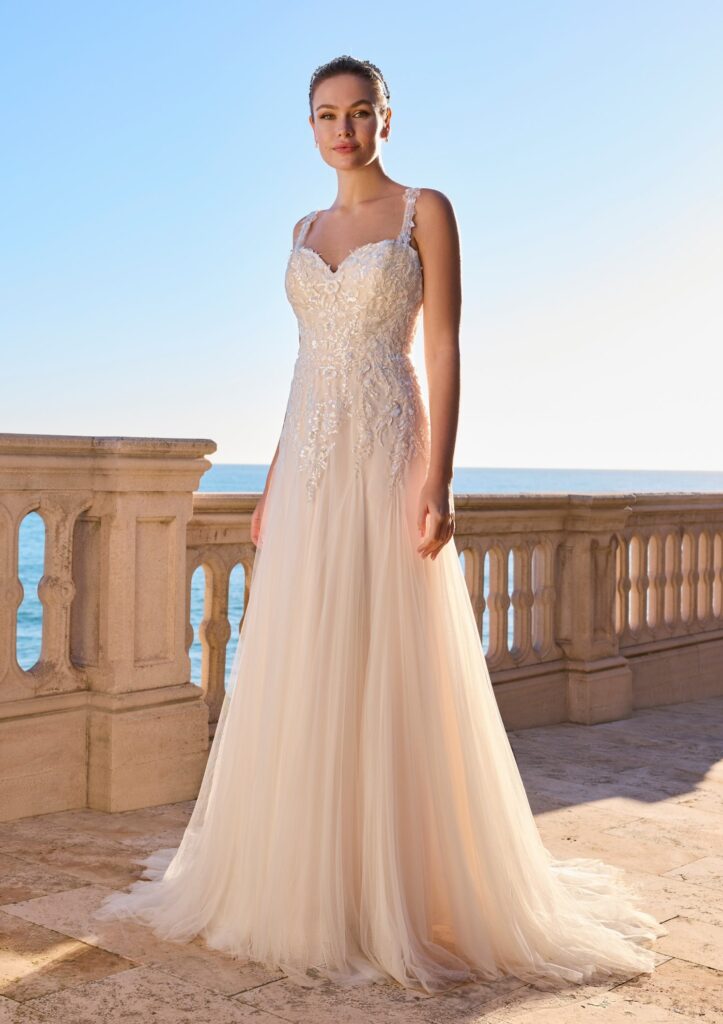 Ladybird Syriaca LB126CK2