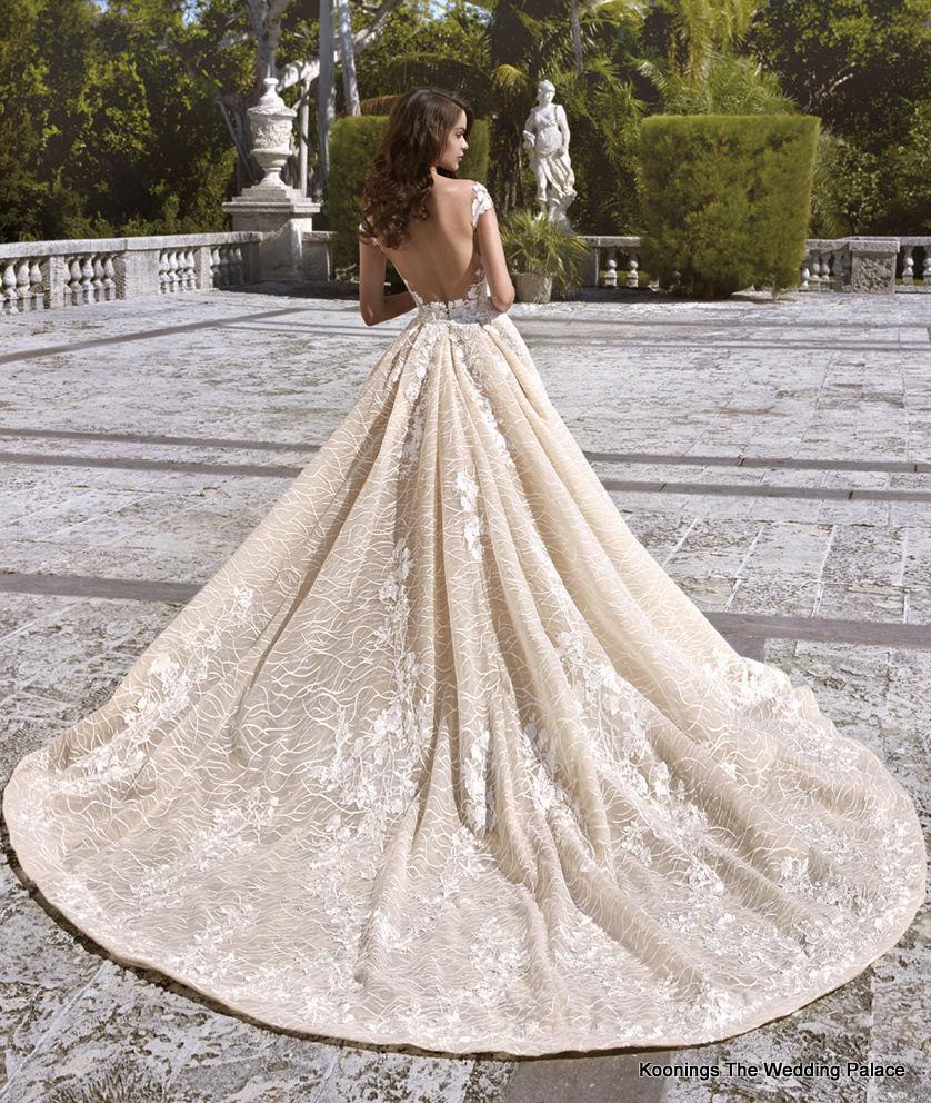 Demetrios Platinum DP404 + TR